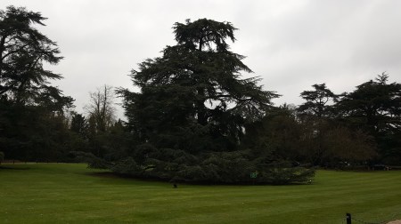 Hanbury Manor Easter 4