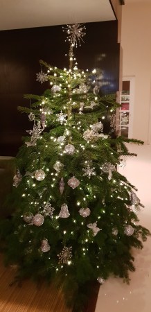 Bedford Lodge Festive 2