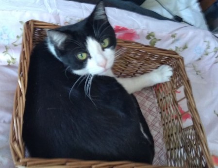 IMG-20200420-WA0005[1]